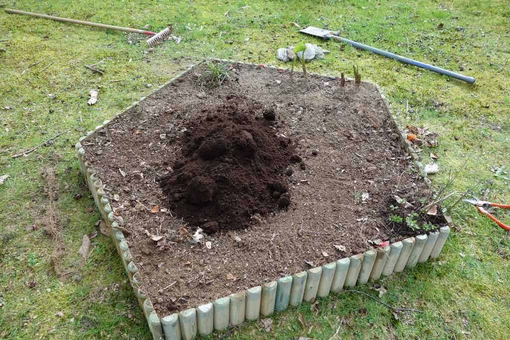 Hiding a tree stump by creating a flowerbed